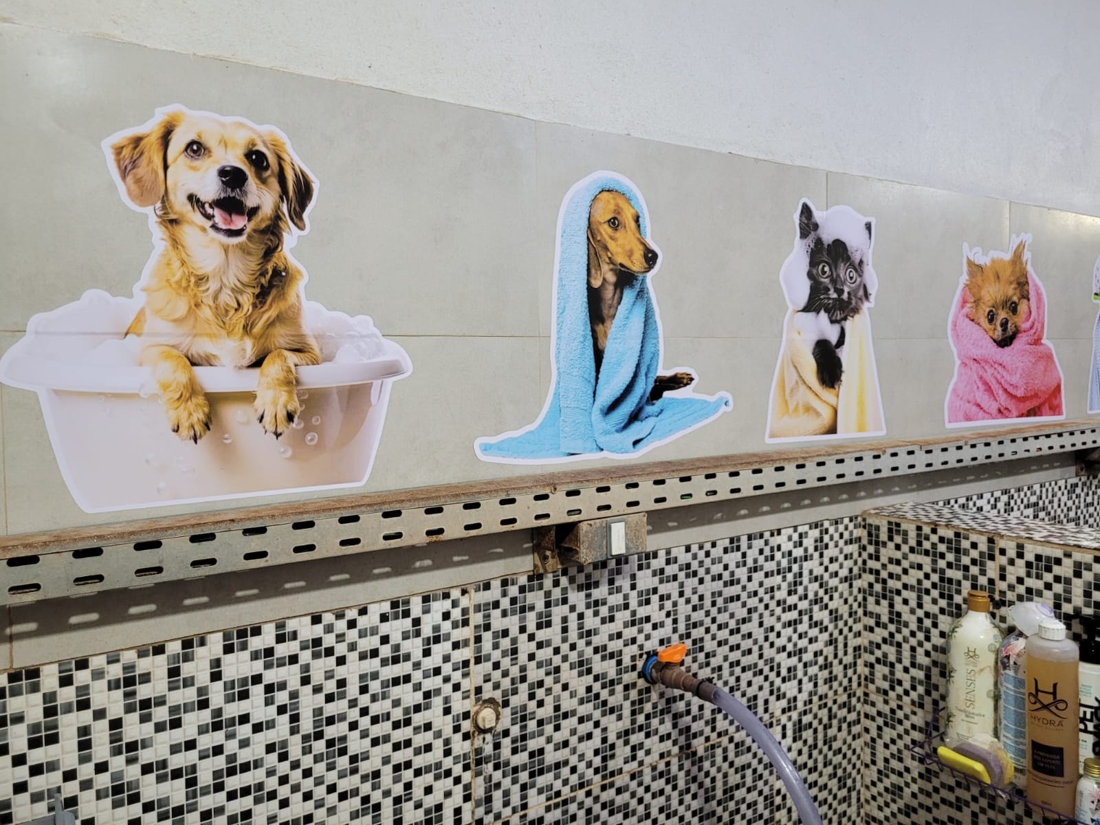 Adesivos decorativos de pets aplicados na parede