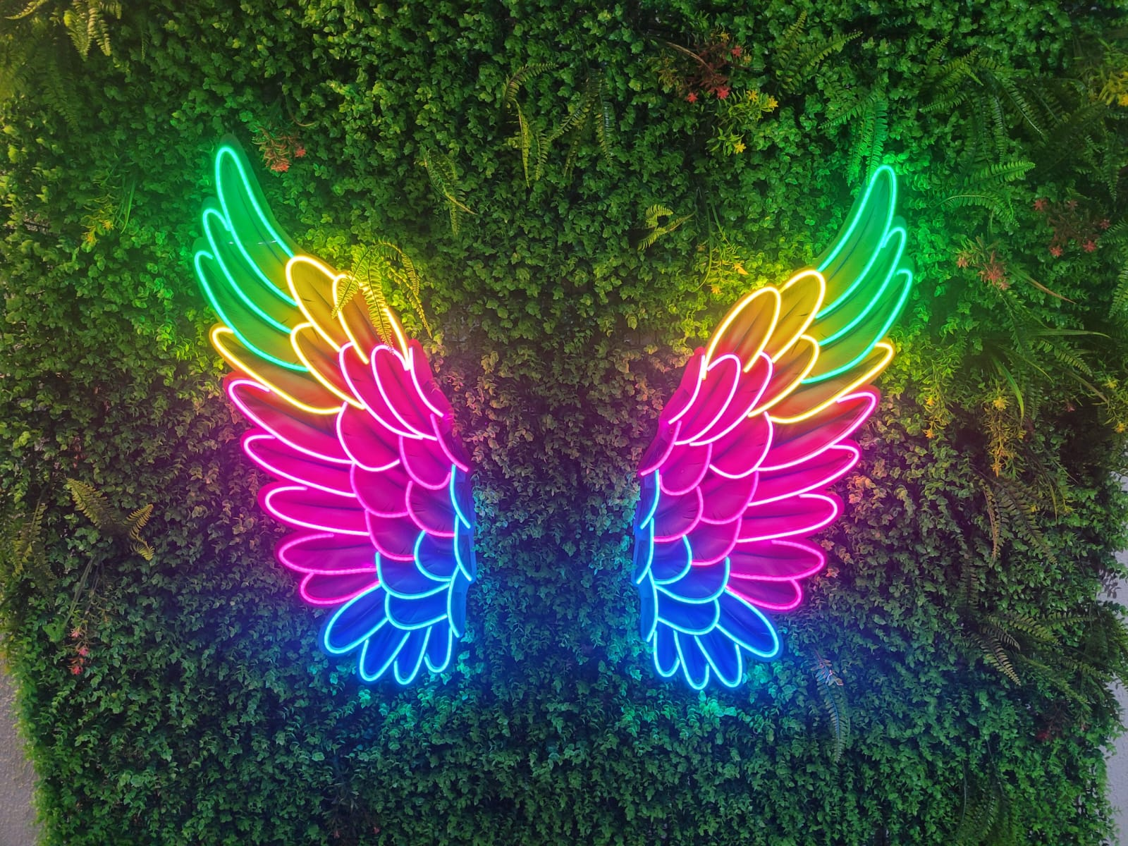 Asas coloridas em neon LED